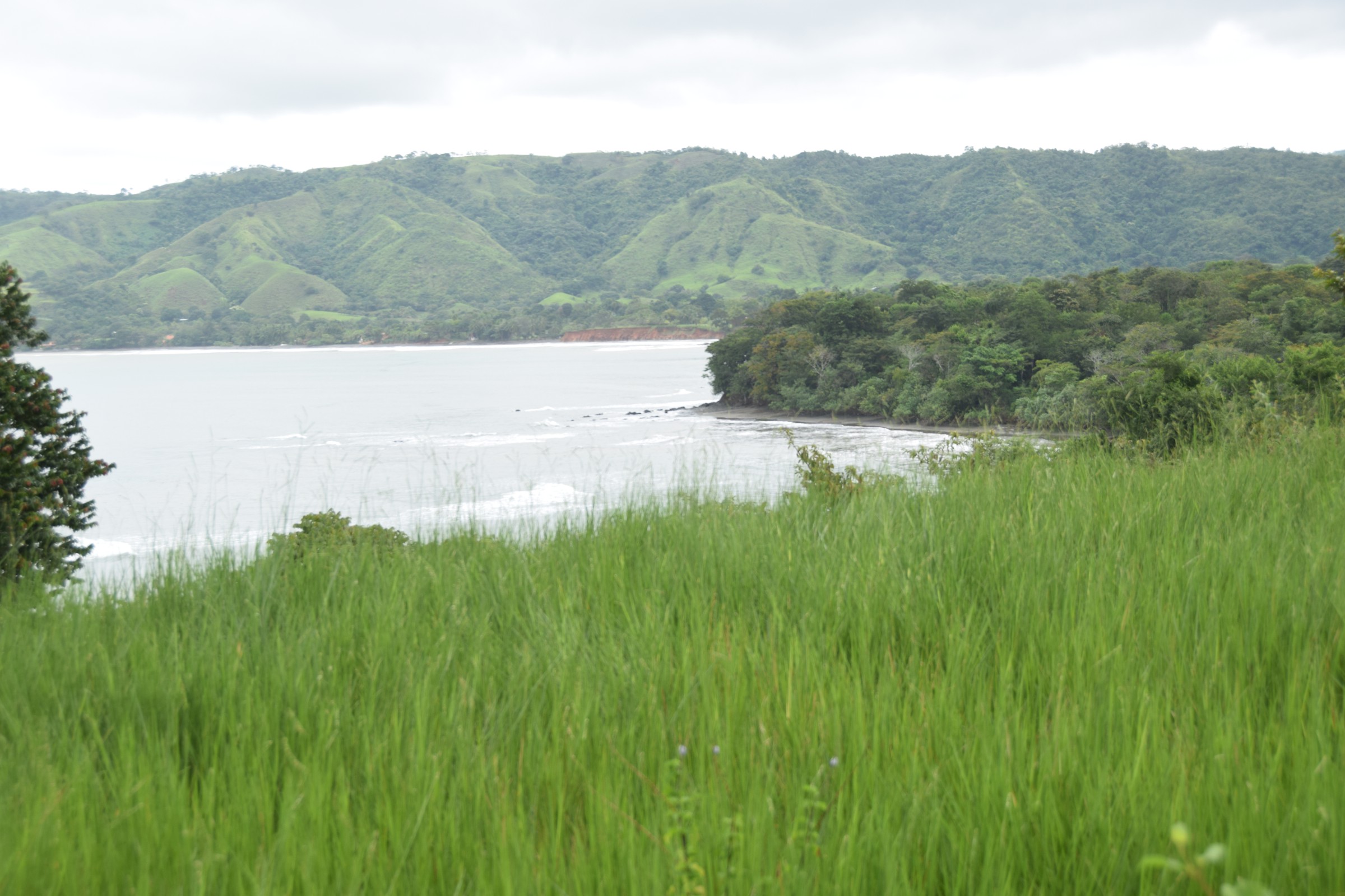 Azuero Ocean Front 7